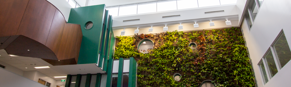 Living plant wall in Parr Atrium in Thames Hall